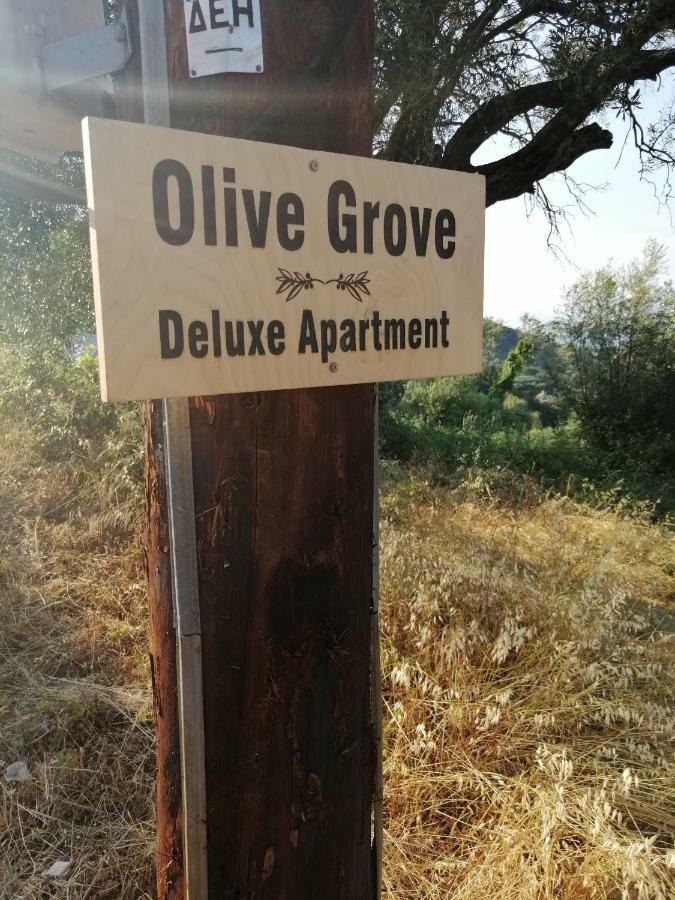 Olive Grove Deluxe Vakantiehuis *